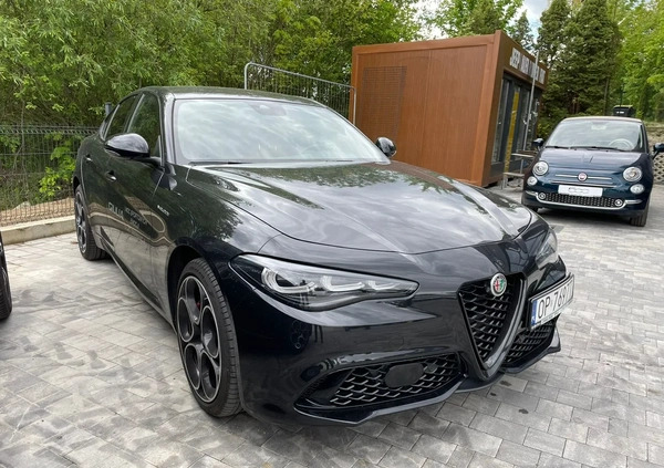 Alfa Romeo Giulia cena 239900 przebieg: 380, rok produkcji 2023 z Skoczów małe 22
